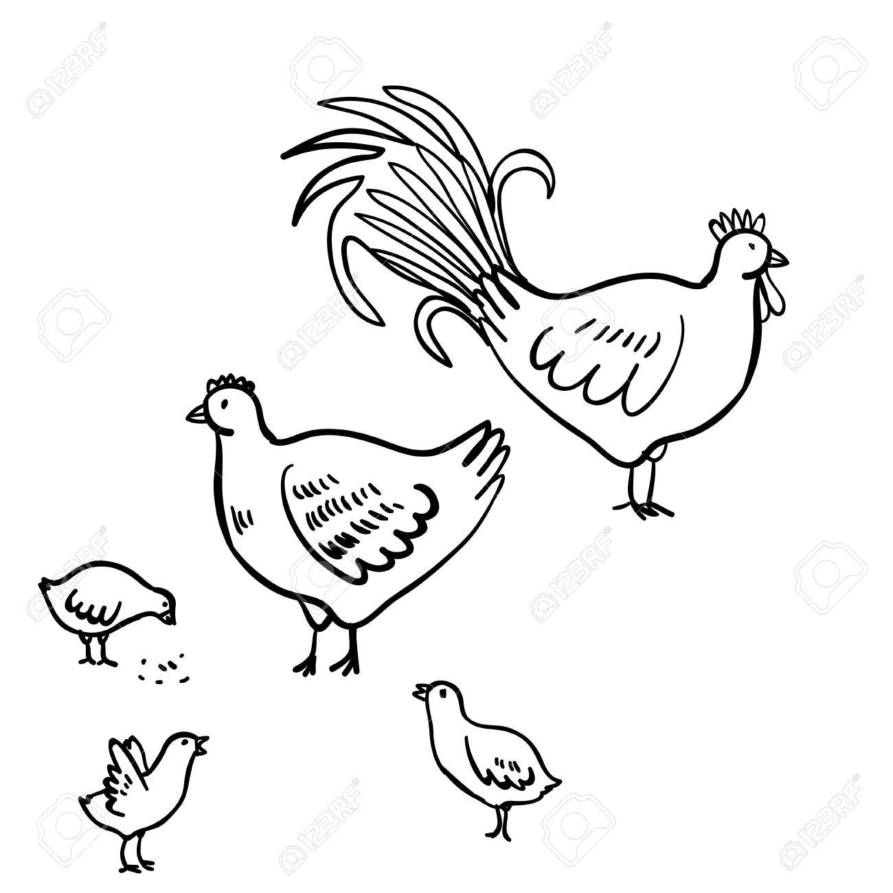 1300x1300 Vector Illustration Set With Rooster, Hen And Chicken. Doodle