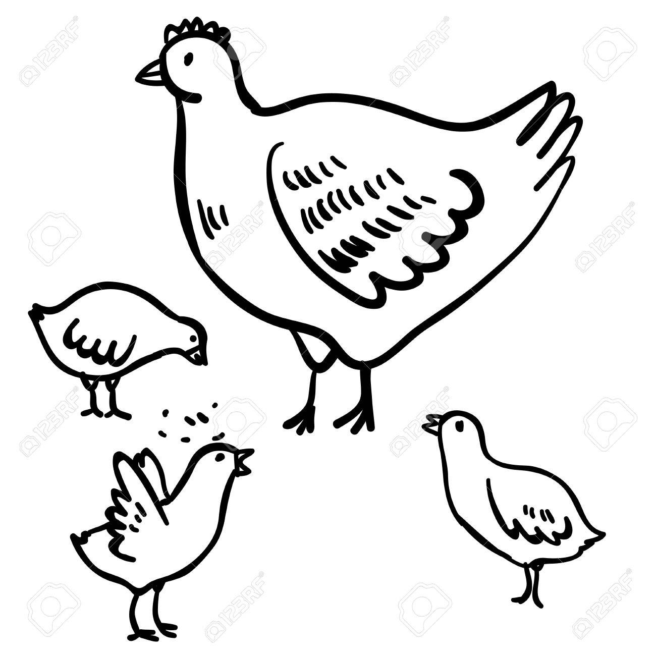 1300x1300 Vector Illustration With Four Doodle Cute Chicken And Hen