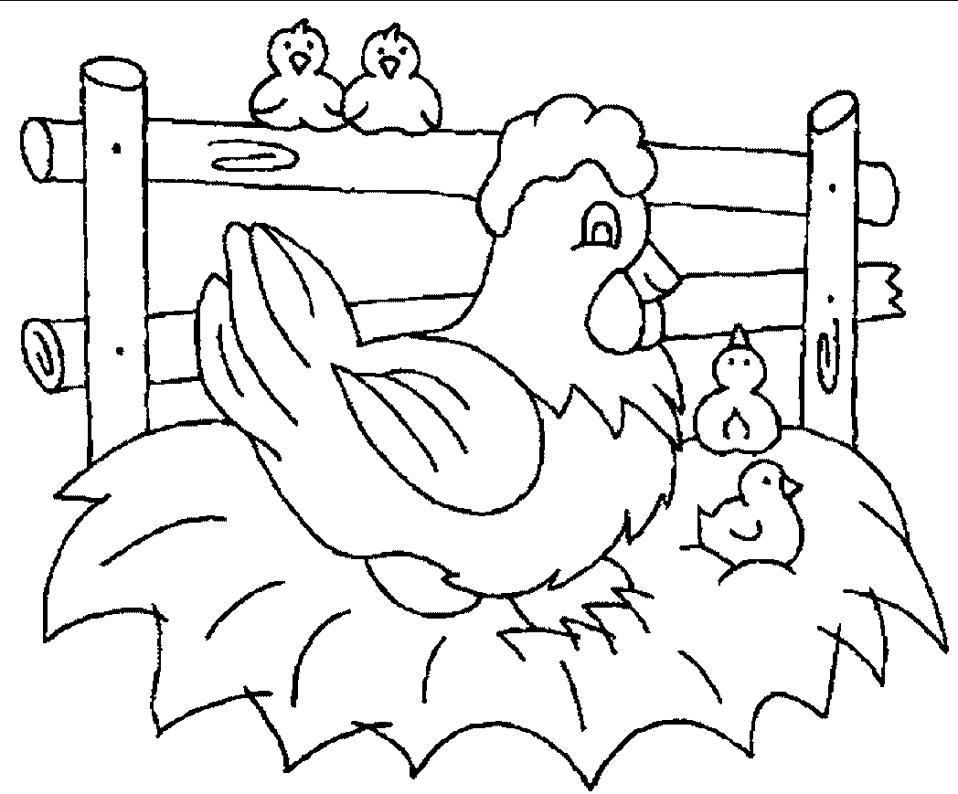 1048x869 Cute Chicken Coloring Pages 471503 Coloring Pages For Free 2015