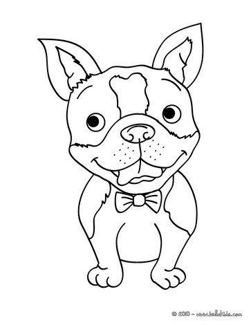 363x470 Chihuahua Coloring Pages