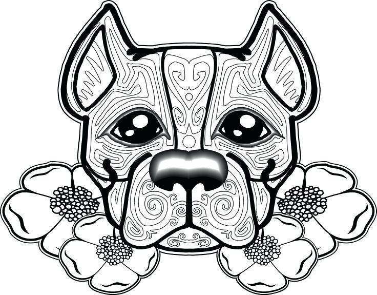 736x575 Cool Dogs Coloring Pages Print New Cute Dog Adorable Chihuahua