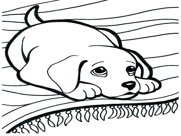 618x464 Good Coloring Pages Of Cute Dogs Print This Is Images Chihuahua