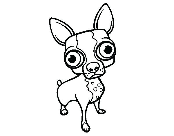 600x470 Luxury Chihuahua Coloring Pages And Drawn Chihuahua Coloring Page