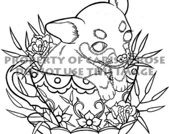 340x270 Teacup Chihuahua Etsy