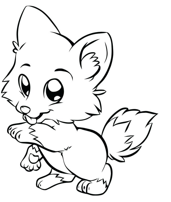 653x768 This Is Chihuahua Coloring Pages Images Puppy Coloring Pages