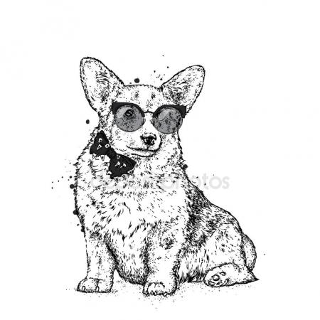 450x450 Pembroke Welsh Corgi Stock Vectors, Royalty Free Pembroke Welsh