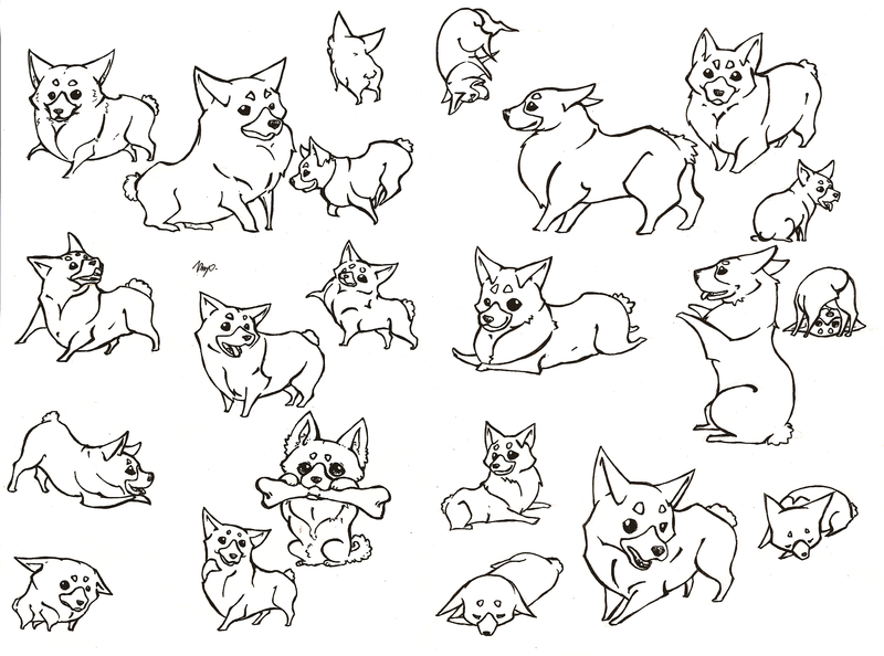 800x594 A Bunch Of Corgis By Kailavmp