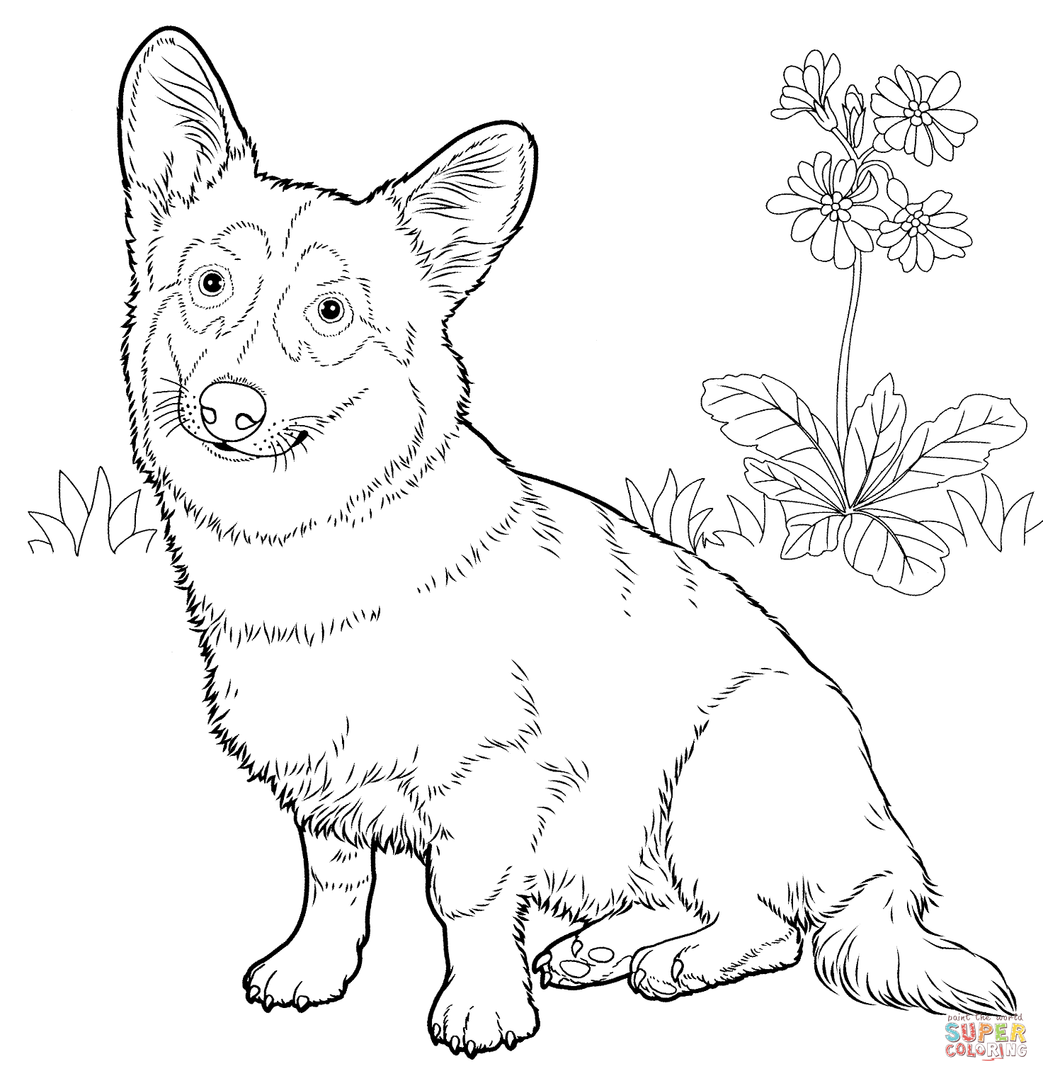 1473x1519 Corgi Coloring Pages Coloring Page For Kids