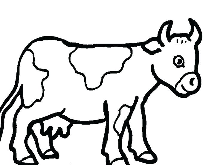 736x552 Coloring Pages Cow Cow Cute Cow Coloring Page Coloring Pages