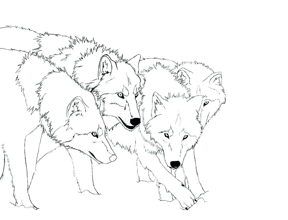 921x704 Cute Wolf Coloring Pages Remarkable Baby Wolf Coloring Pages New