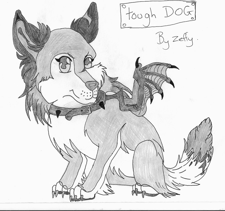 900x843 Tough Dog Or Cute By Zeffy101