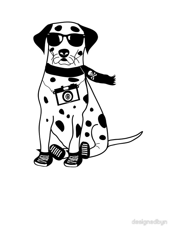 600x800 Hipster Dalmatian