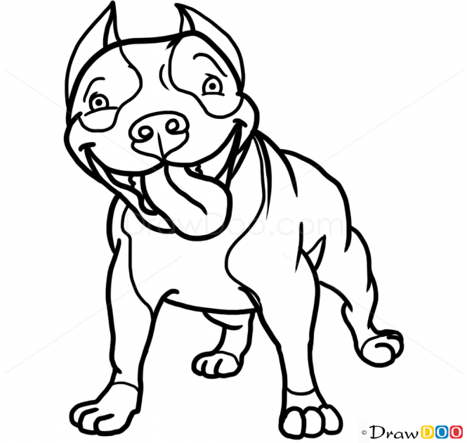665x630 How To Draw Cute Pit Bull, Dogs And Puppies Pit Art