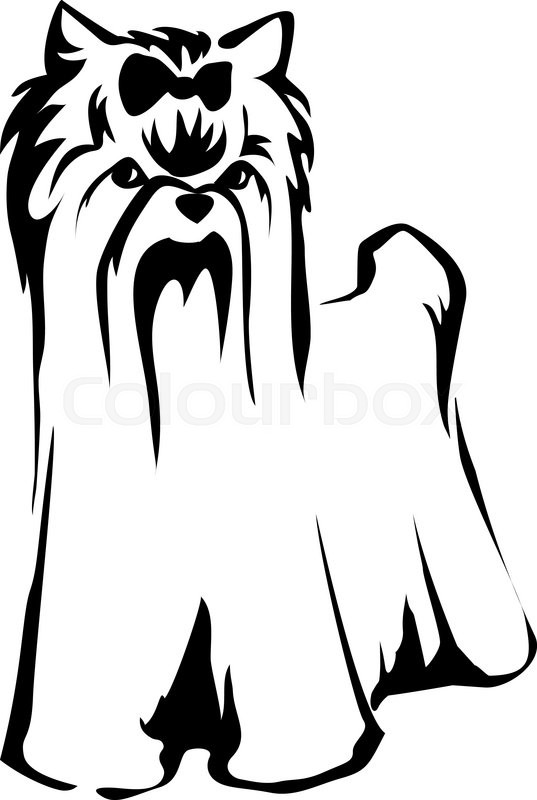 537x800 Vector Dog Yorkshire Terrier Icon. Cute Dog Stock Vector Colourbox