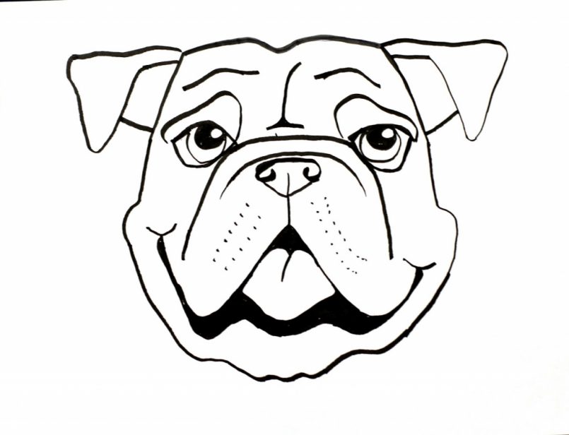 805x616 Drawing How Draw A Cute Dog Face Easygether With How