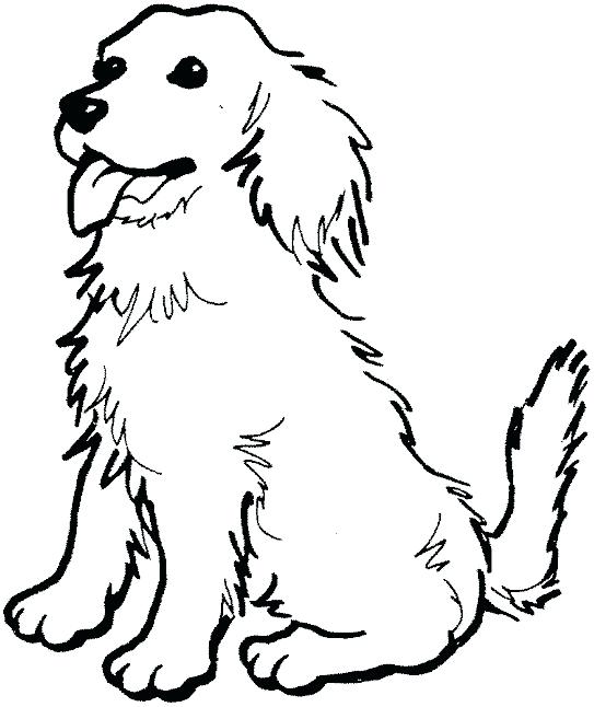 543x646 Pictures Of Dogs Coloring Pages Cute Dog Coloring Pages