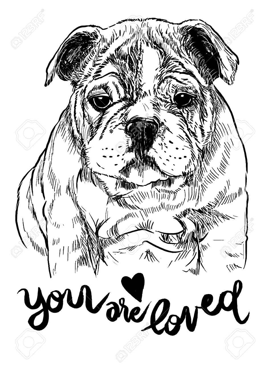 937x1300 Vector Illustration Of A Hand Drawn Cute Dog,sketch Of Dog By