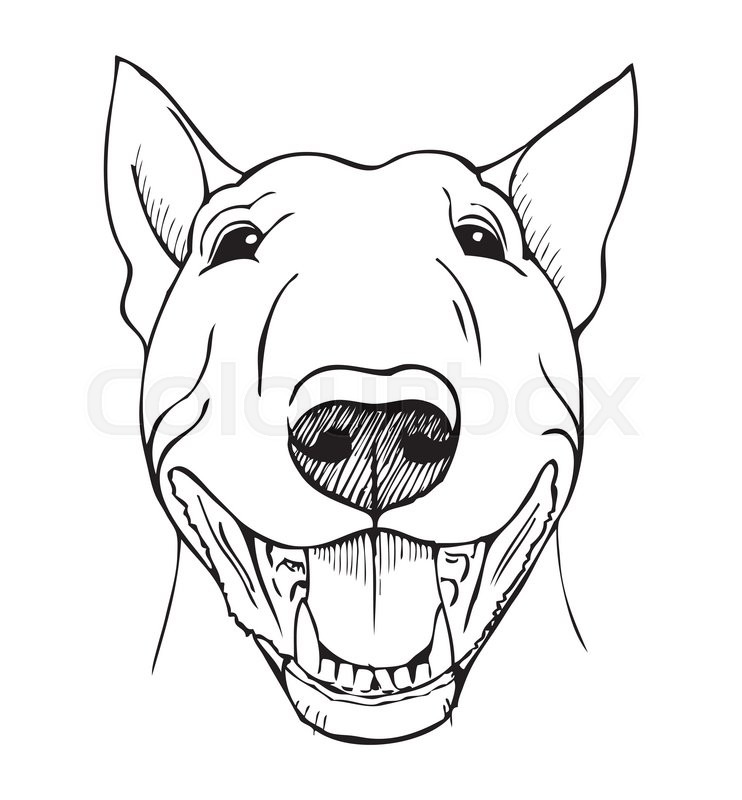 742x800 Bull Terrier, Bull Terrier Funny Face, Black And White Vector