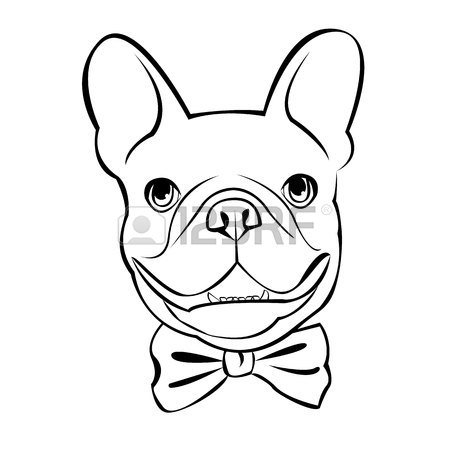 450x450 Cat Animal Contour Drawing Creative Dog Vector Breed Cute Pet