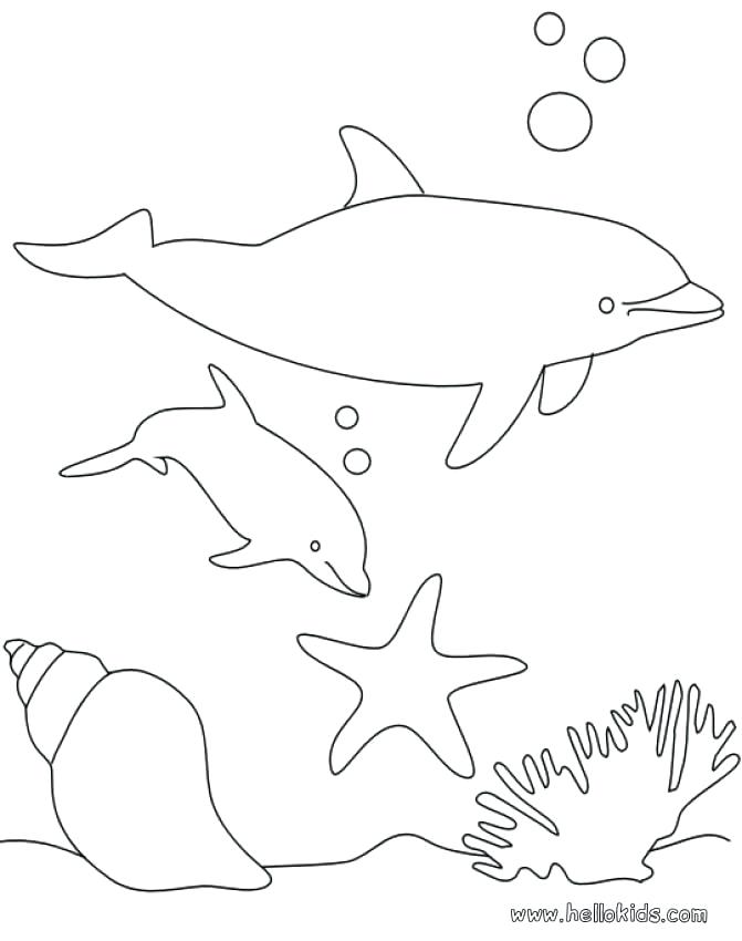 671x850 Ideal Cute Dolphin Coloring Pages Best Of Sea Animals