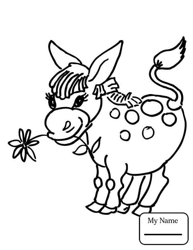 624x808 Cute Burro Donkeys Mammals Donkeys Coloring Pages For Kids