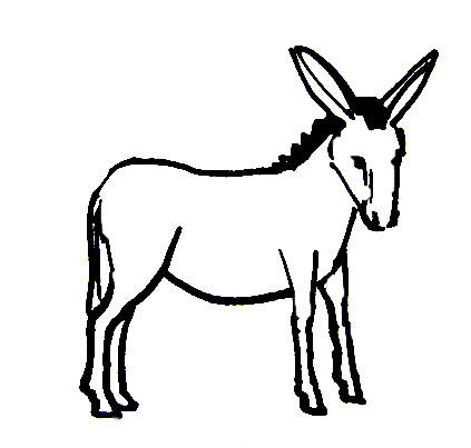 423x403 Donkey Coloring Pages