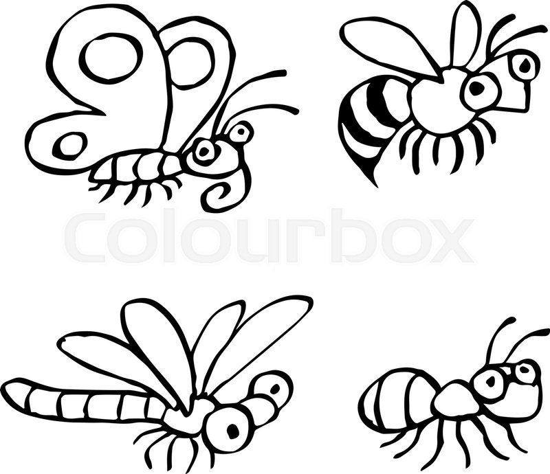 800x690 Cute Insects Flying And Crawling. Vector Illustration. Contour