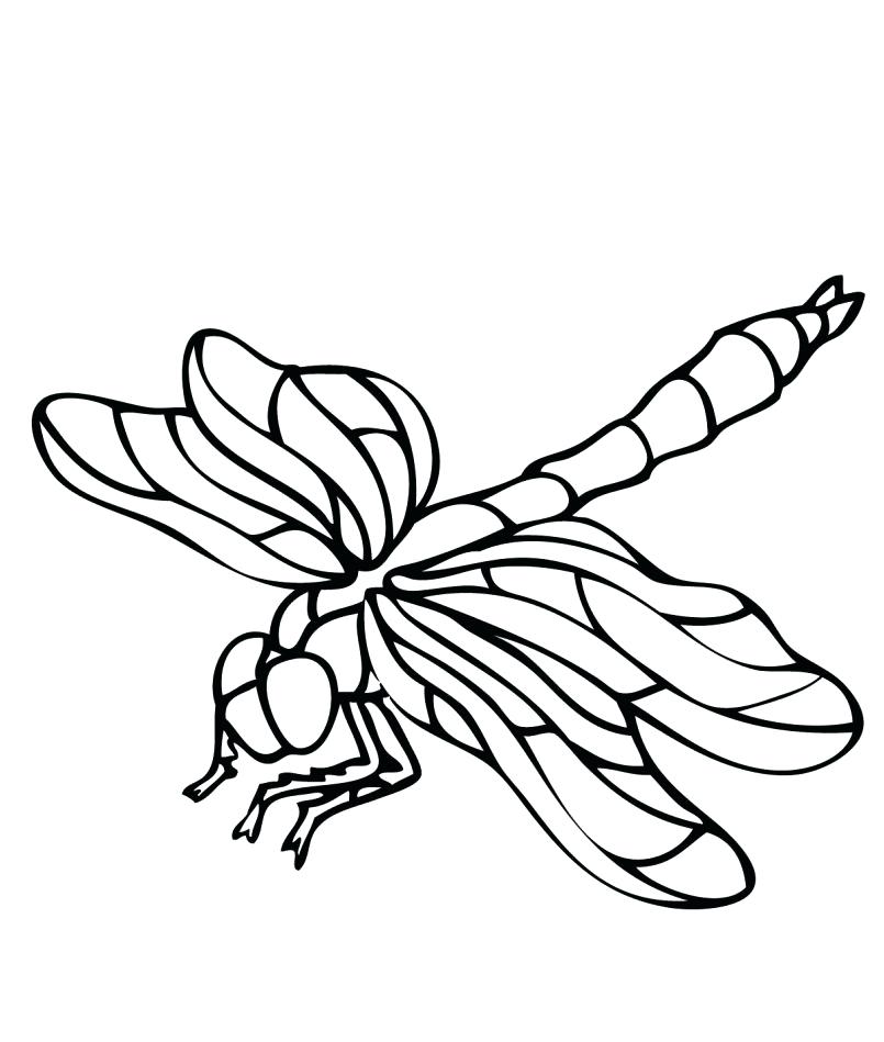 805x949 Pretty Dragonfly Coloring Pages Dragonfly Fairy Coloring Pages