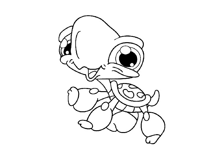 700x500 Bold And Modern Cartoon Turtle Coloring Pages From Cute Turtle