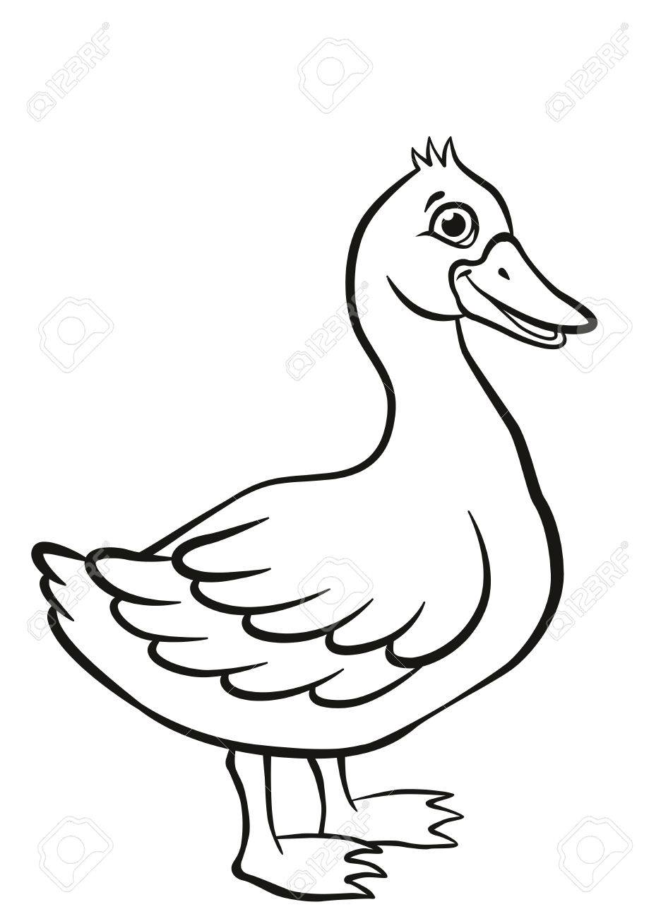 919x1300 Coloring Pages. Little Cute Duck Stands And Smiles. It`s Happy