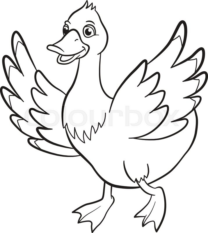 715x800 Coloring Pages. Cute Duck Runs And Smiles. It Waves Her Wings