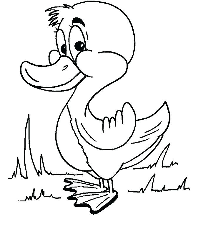 700x762 Duck Coloring Book And Download Free Baby Duck Drawing Page 16