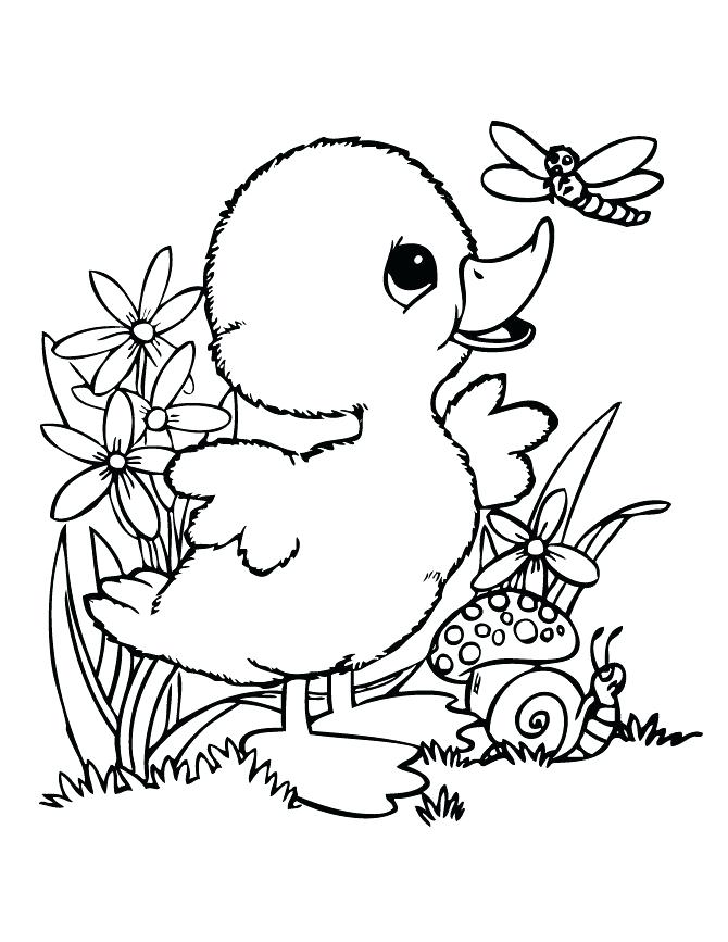 670x867 Duck Coloring Pages 25076