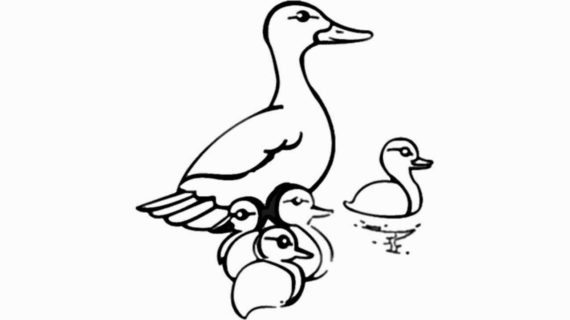 570x320 Simple Drawing Of A Duck Learn How To Draw A Cute Rubber Ducky