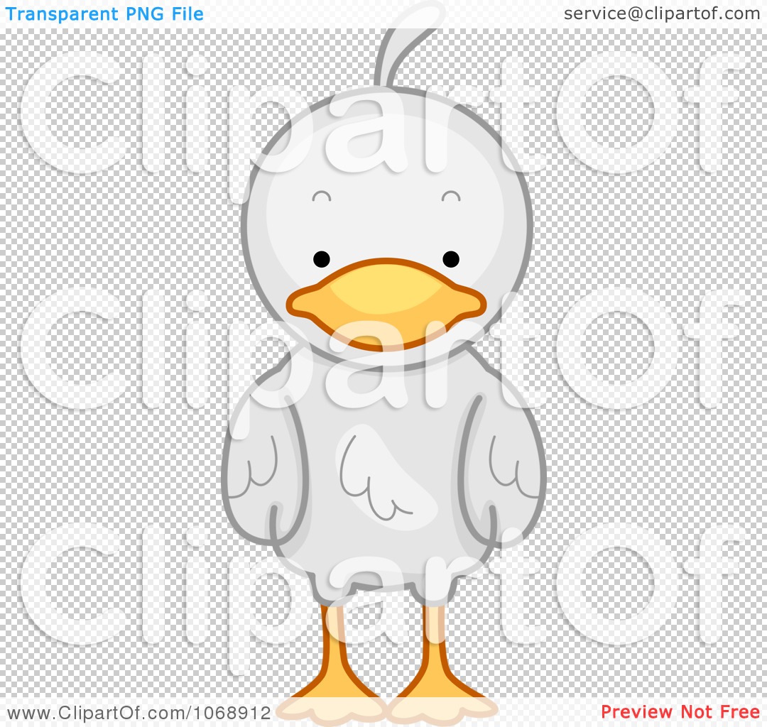1080x1024 Clipart Cute Duck From The Front