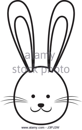 339x540 Bunny Glasses Stock Photos Amp Bunny Glasses Stock Images