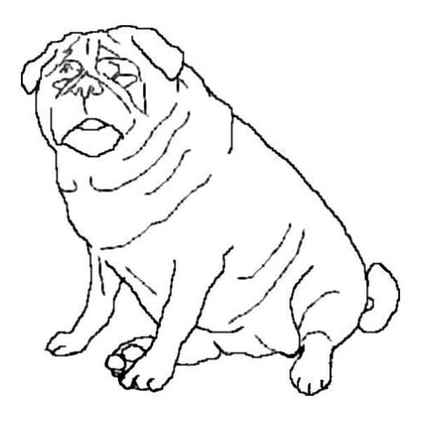 600x600 Fat Pug Dog Coloring Page Color Luna