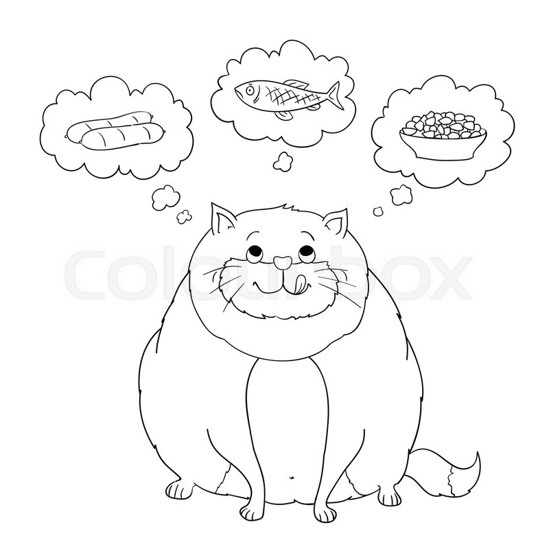 800x800 Funny Cartoon Fat Cat Thinking About Sausage, Fish, Food. Coloring