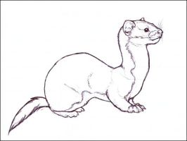 266x200 Solitary Weasel By Nikkiburr Ferrets Ferret