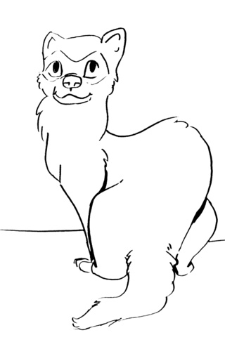 320x487 Ferrets Drawings On Paigeeworld. Pictures Of Ferrets