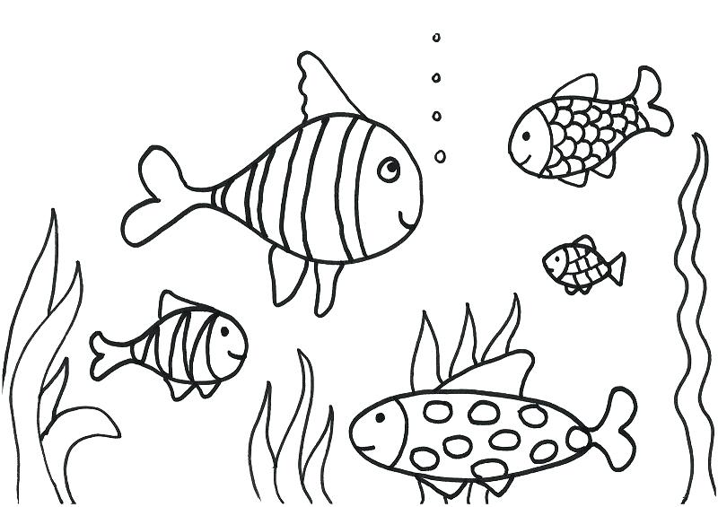 800x565 Cute Fish Coloring Pages View Larger Finding Coloring Cute Fish