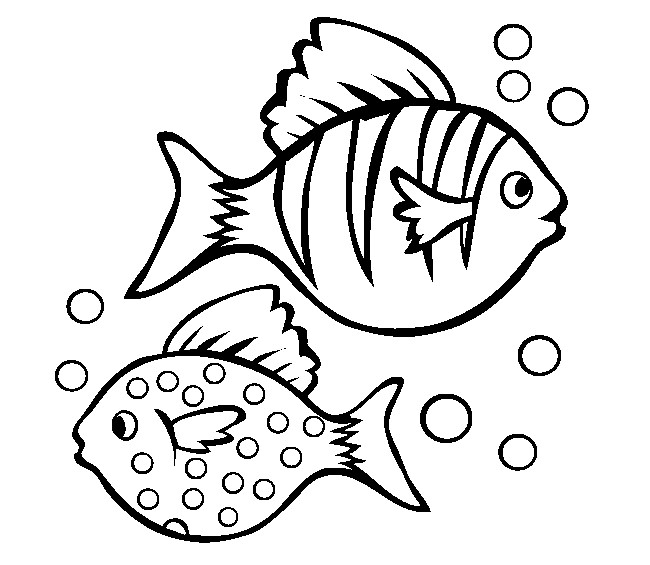 650x565 Drawing Template For Kids Fish Template 50 Free Printable Pdf