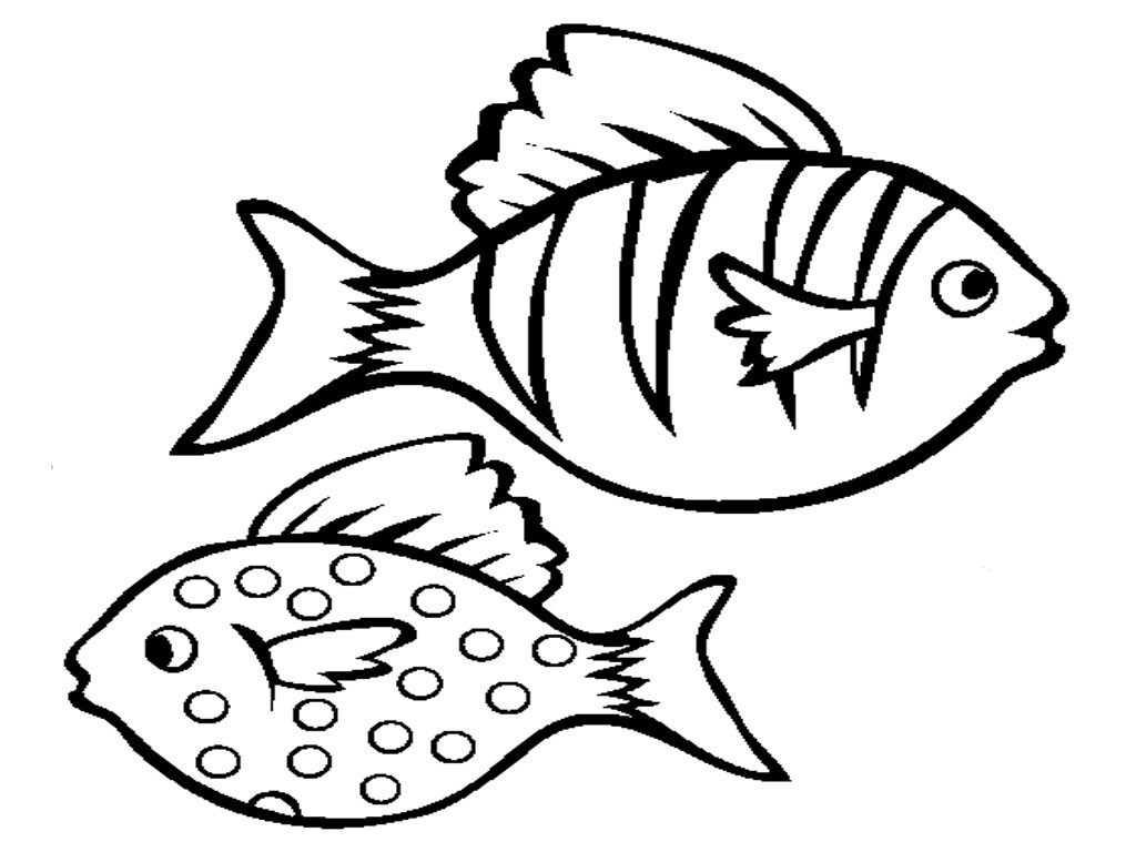 1024x768 Drawn Angelfish Outline Drawing