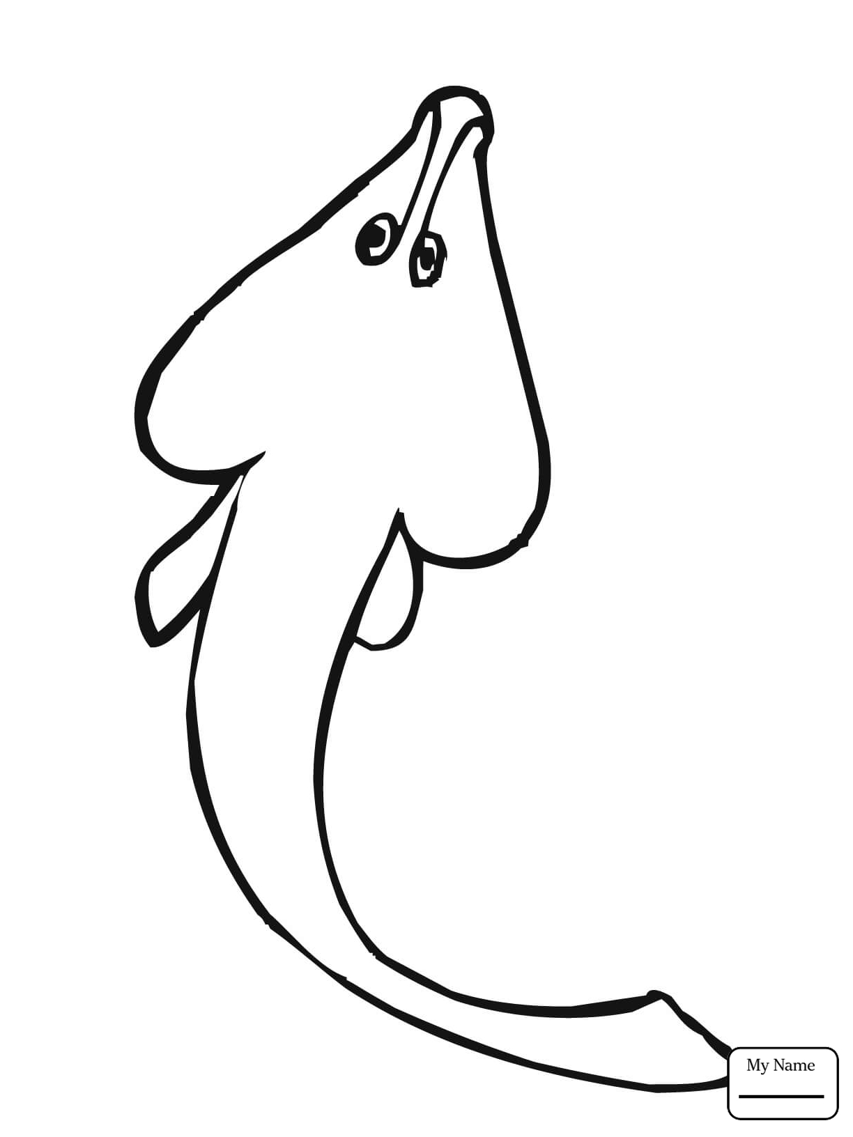 1224x1632 Coloring Pages Fish Cute Ray