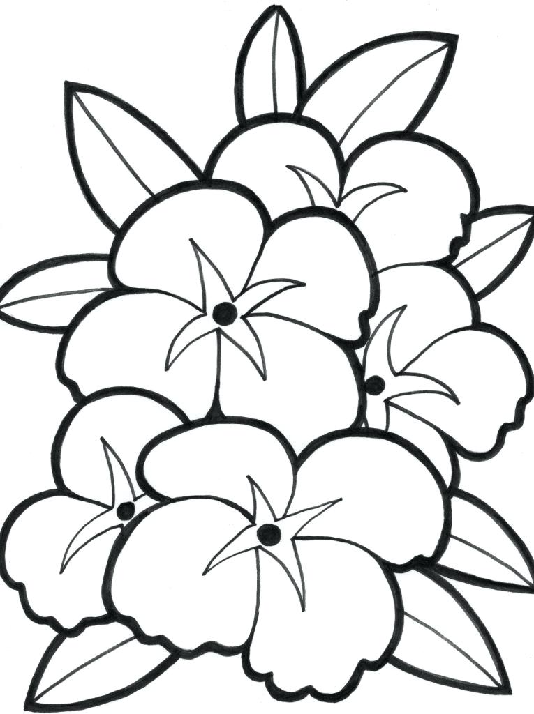 765x1024 Cute Flower Coloring Pages For Kids Download Cute Flower Coloring