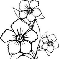 200x200 How To Draw Pretty Flowers