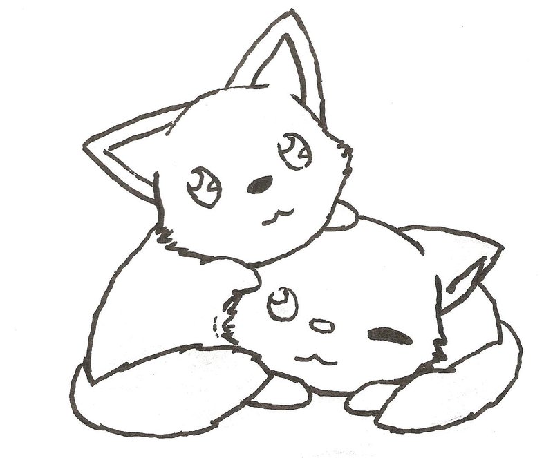 800x663 Chibi Fox Outline By Chibifox27