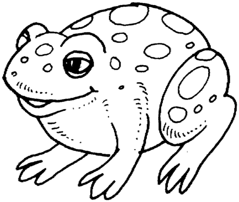 480x406 Cute Frog Coloring Page Free Printable Coloring Pages