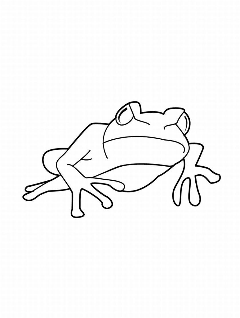 839x1109 Free Printable Frog Coloring Pages For Kids