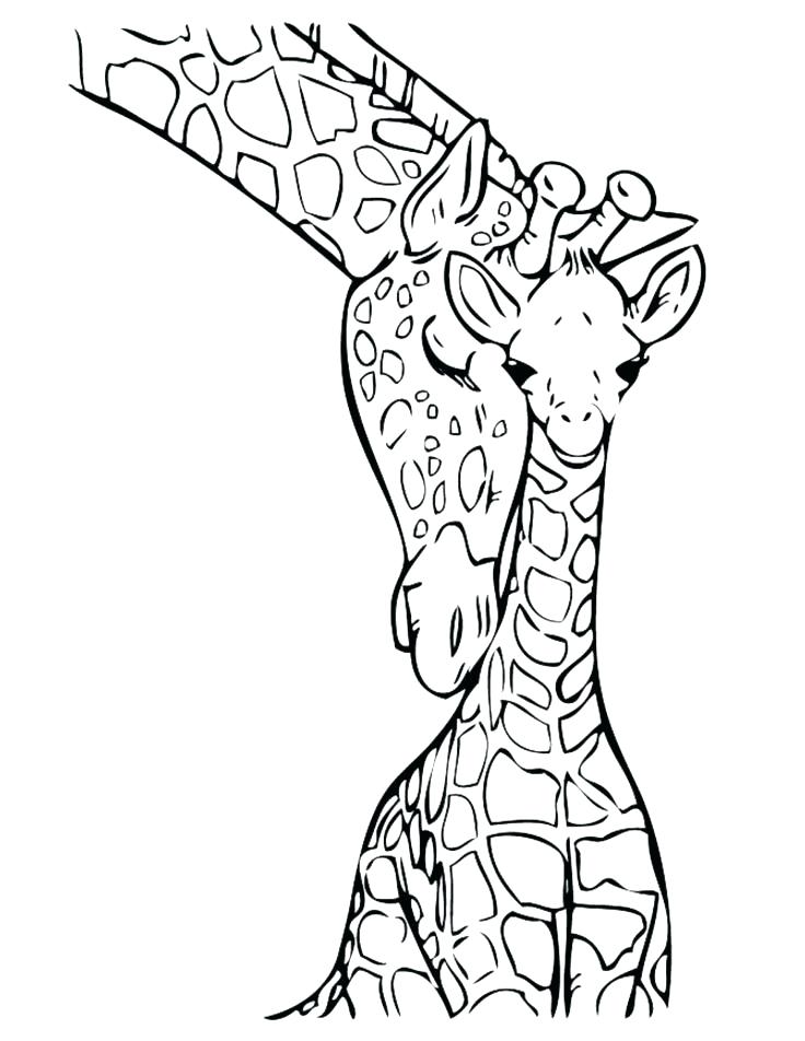 736x952 Coloring Pages Giraffes Giraffe Coloring Pages Pictures